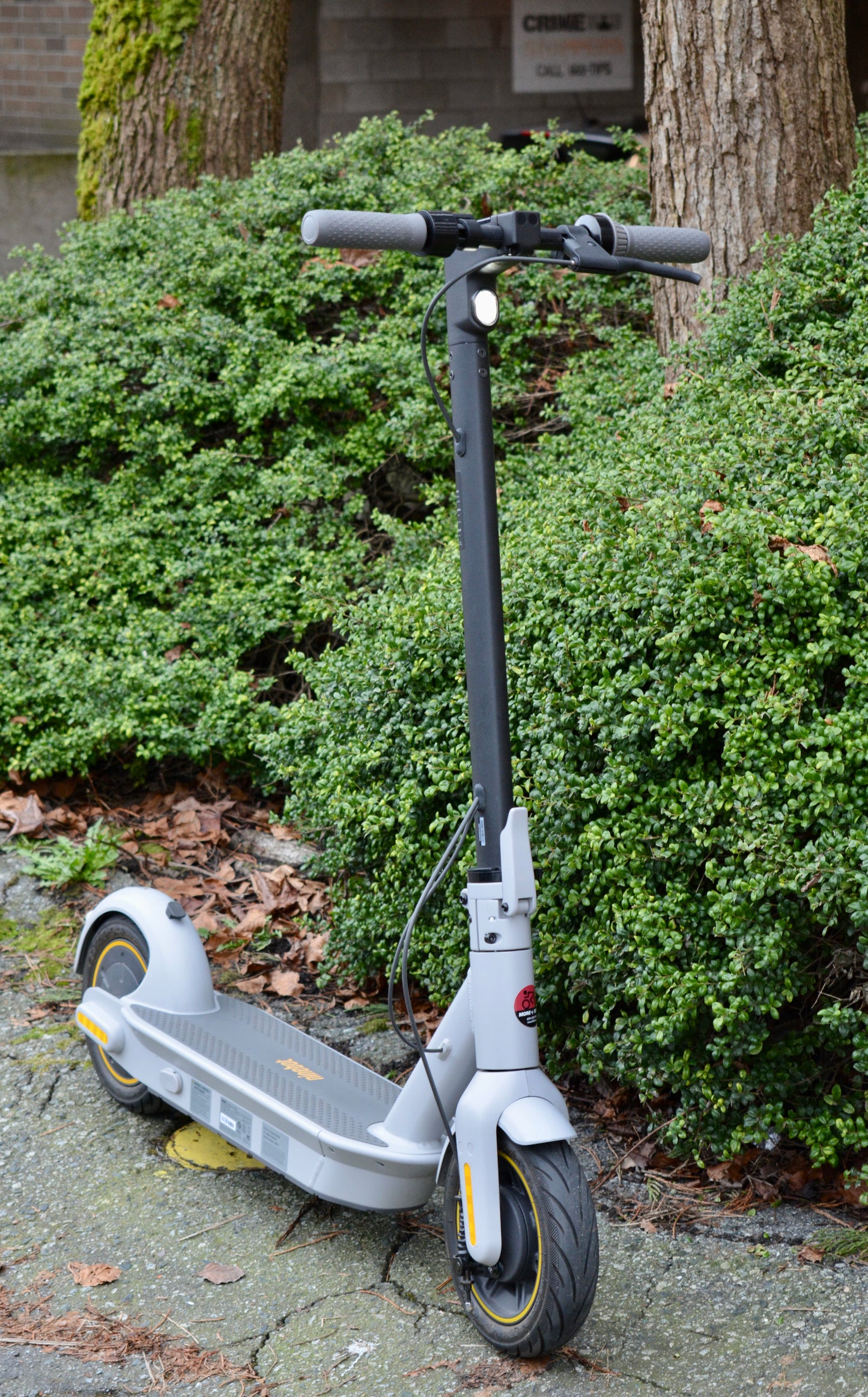 NINEBOT - SEGWAY E SCOOTER MAX G30LP - Refurbished