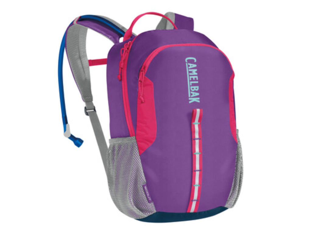 CAMELBAK - SCOUT 50OZ PURPLE SAPPHIRE/AZAELA