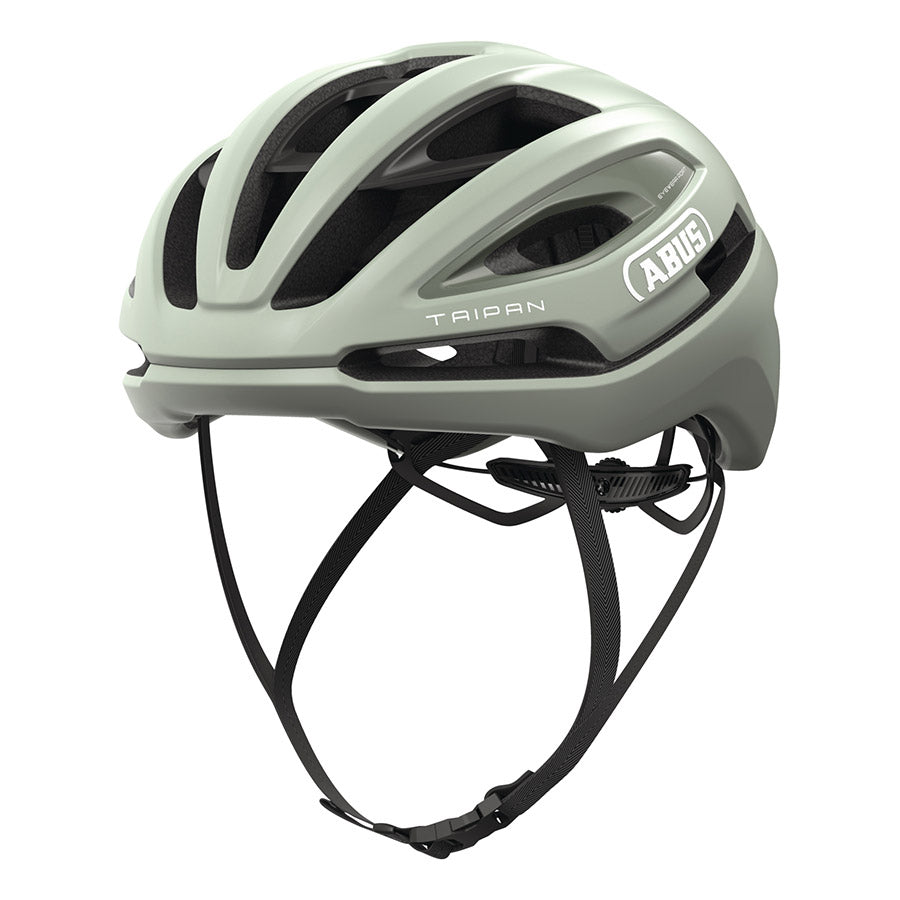 Abus, Taipan, Helmet, L, 57 - 61cm, Como Blue