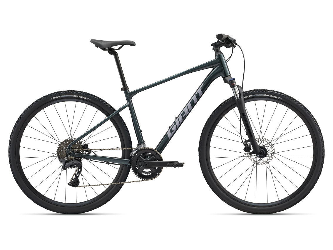 GIANT 2025 -  ROAM 2 DISC