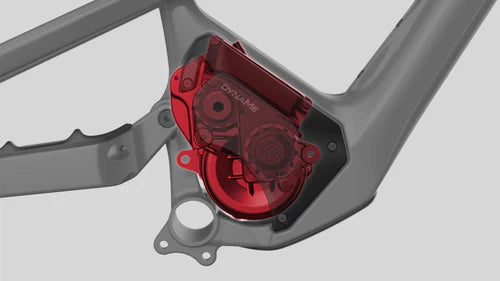 Close-up of a bicycle frame with a red Dynamo light hub on a gray background