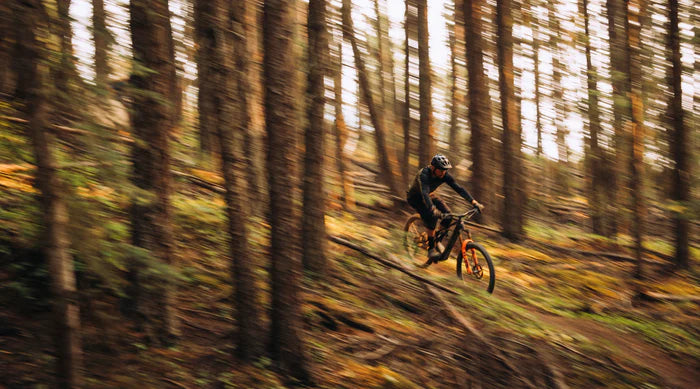 Person riding a mountain bike through a forest with dappled light filtering through the trees.